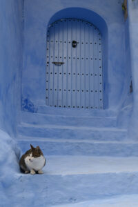 Porta di Chefchaouen