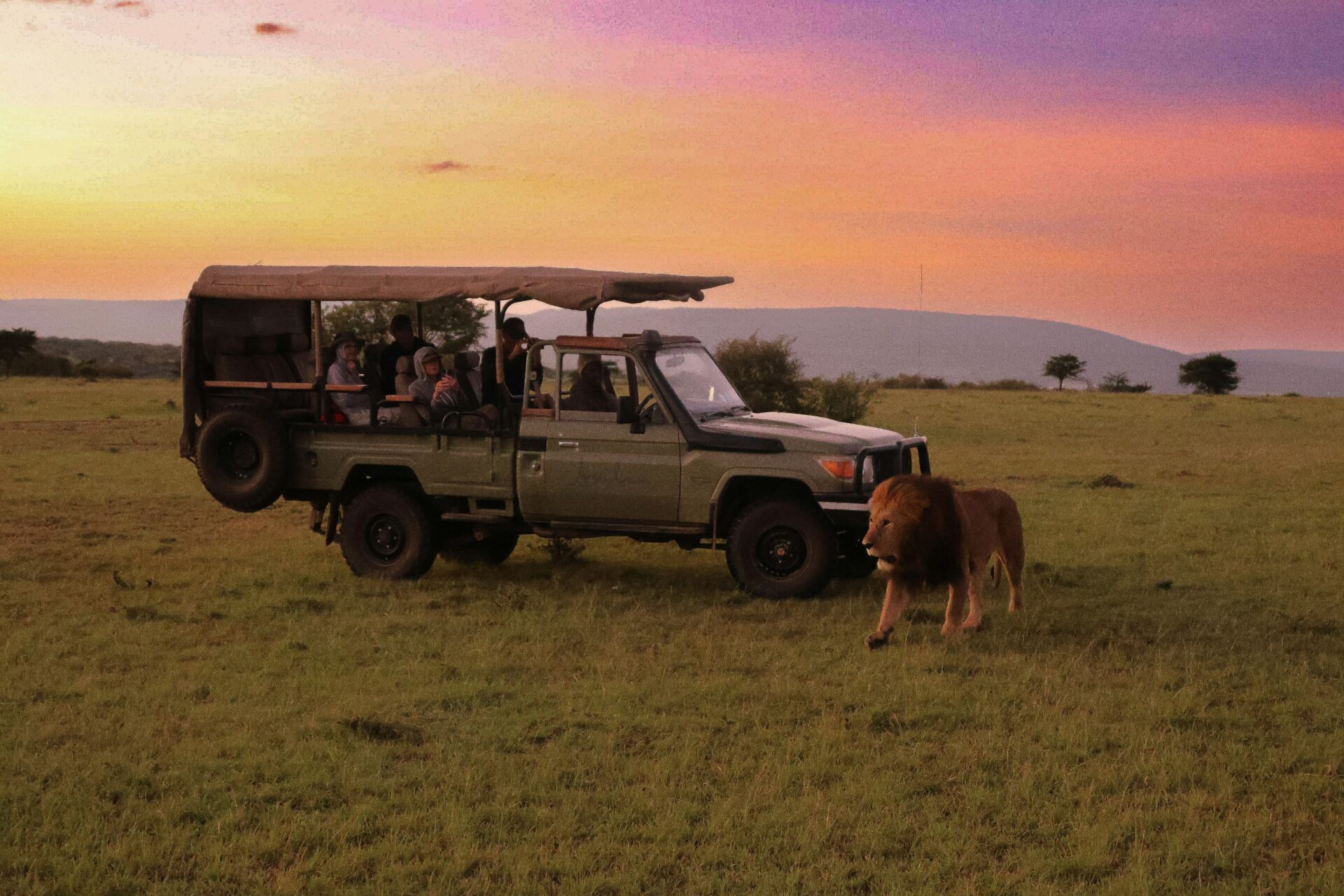 tanzania safari